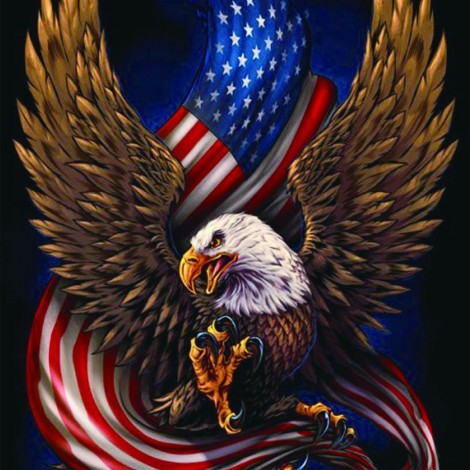 Eagle with Flag Diamond Art Kit