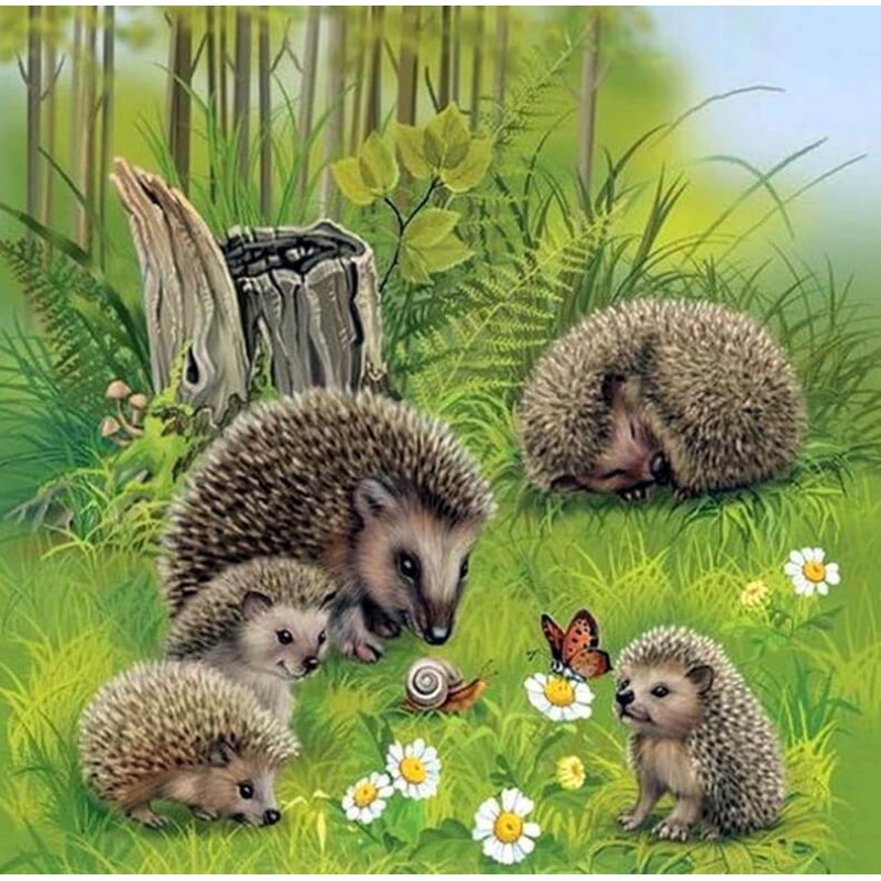Family of Hedgehogs ...
