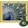 Special Majestic Peacock Diamond Art Kit for Adults