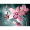 Butterflies & Orchids - Diamond Painting Kit