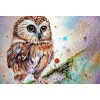 Pretty Owl Diamond Art Kit