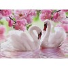 Swans & Flowers Diamond Art Kit