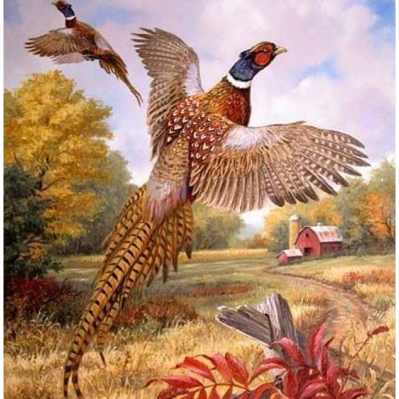Flying Pheasant Diam...