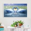 Lovely Swan Pair DIY Painting Kit
