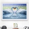 Lovely Swan Pair DIY Painting Kit