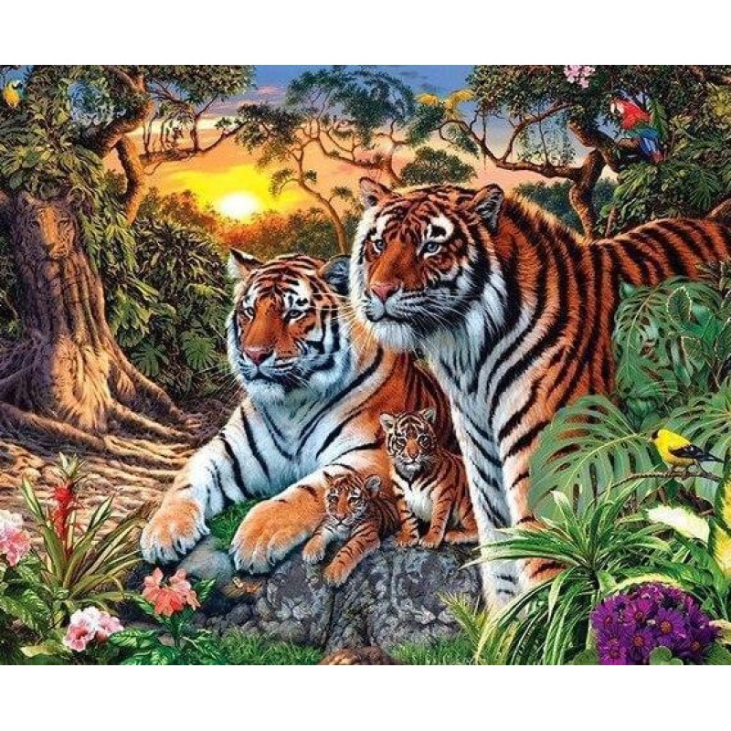 Stunning Tiger Famil...