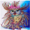 Special Owl Painting Kit