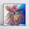 Special Owl Painting Kit