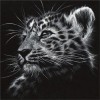 Wild Black & White Lion and Tigers Diamond Painting