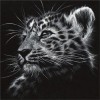 Wild Black & White Lion and Tigers Diamond Painting