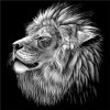 Wild Black & White Lion and Tigers Diamond Painting