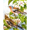 Beautiful Birds and Flowers Diamond Art Kits