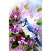 Beautiful Birds and Flowers Diamond Art Kits