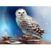 Beautiful White Owl - Diamond Painting Kit