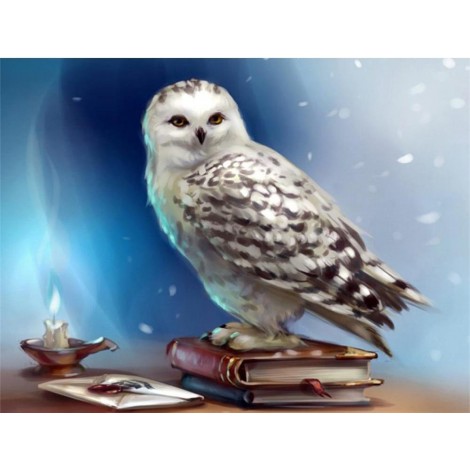 Beautiful White Owl - Diamond Painting Kit