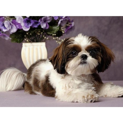 Beautiful Big Puppy DIY Painting Kit