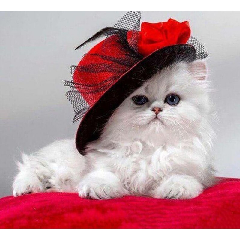 Stylish Cat DIY Diam...