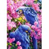 Parrots on Branches Diamond Art