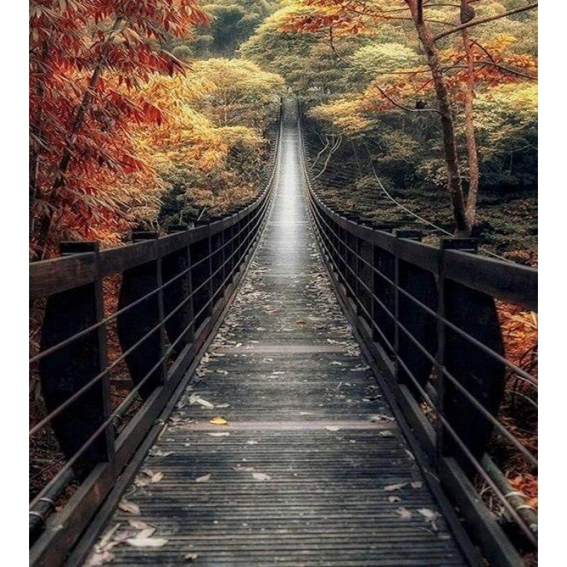 Bridge DIY Diamond P...