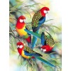 Parrots on Trees Diamond Painting