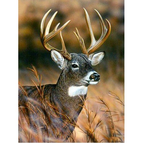 Deer with Horns Painting Kit