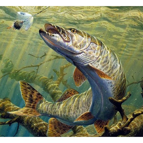 Giant Fish Diamond Art Kit