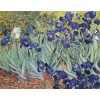 Irises Diamond Art Kit