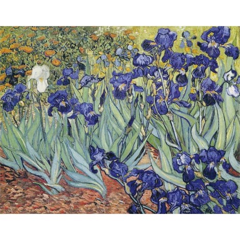Irises Diamond Art Kit