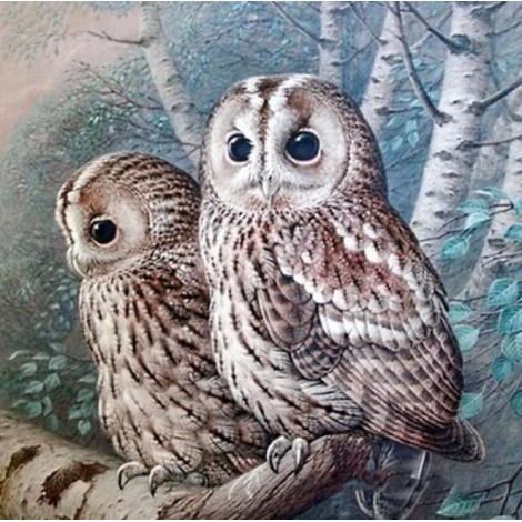 Delightful Owl Couple Diamond Painting Kit
