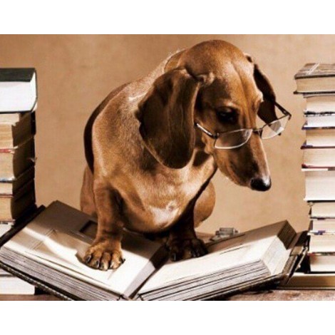 Dog with Glasses  Reading a Book