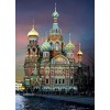 Cathedrals of St Petersburg
