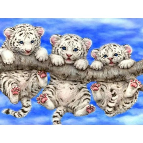 Three Little Tiger Cubs