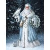 Huge Santa with Owl Diamond Painting Kits for Adults
