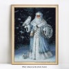 Huge Santa with Owl Diamond Painting Kits for Adults