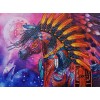 Native Horse Special Diamond Painting