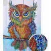 Big Colorful Staring Owl