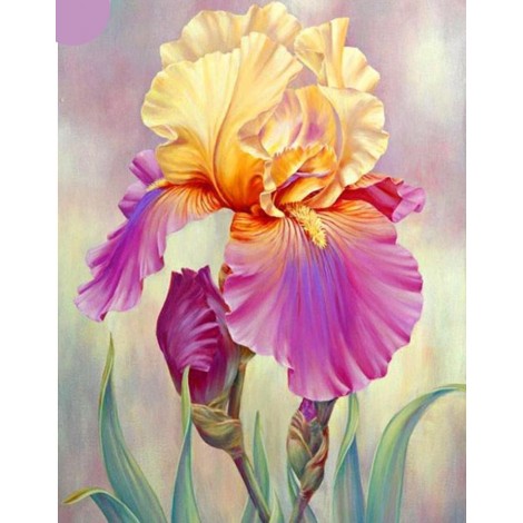 Phenomenal Iris Flower Painting