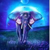 Beautiful Elephant Diamond Painting Kit