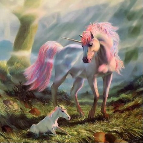 Wonderful Unicorn Fantasy Diamond Art Kit