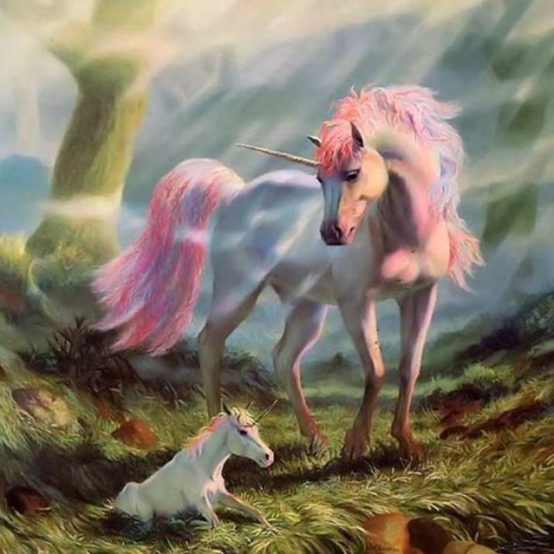 Wonderful Unicorn Fa...