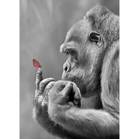 Gorilla Diamond Art Painting Kit