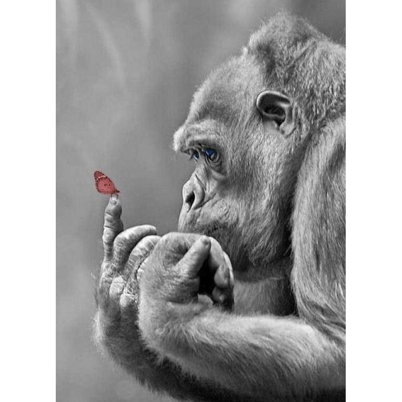 Gorilla Diamond Art ...