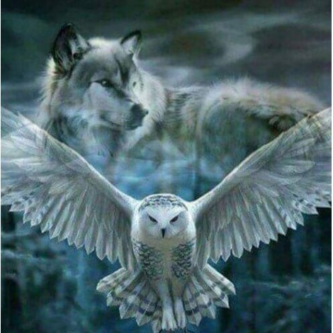 Flying Owl & Wolf Painting Kit