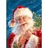 Wonderful Santa Claus Christmas Paint by Diamonds