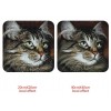 Cute Cat with Beautiful Eyes Diamond Painting Kit