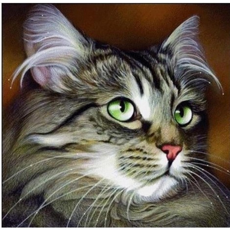 Cute Cat with Beautiful Eyes Diamond Painting Kit