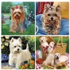 Lovely Dogs Diamond Paintings