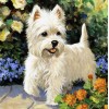 Lovely Dogs Diamond Paintings