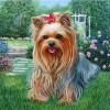 Lovely Dogs Diamond Paintings