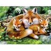 Amazing Foxes Diamond Painting Kits